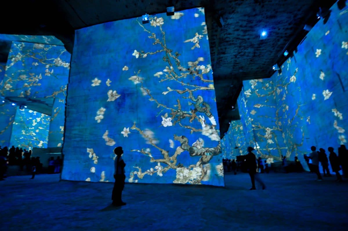 Van Gogh Aux Carrieres De Lumieres 5 Raisons D Aller Voir L Expo